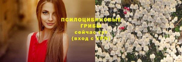 марки lsd Вяземский